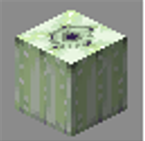 Dead Urchin Block